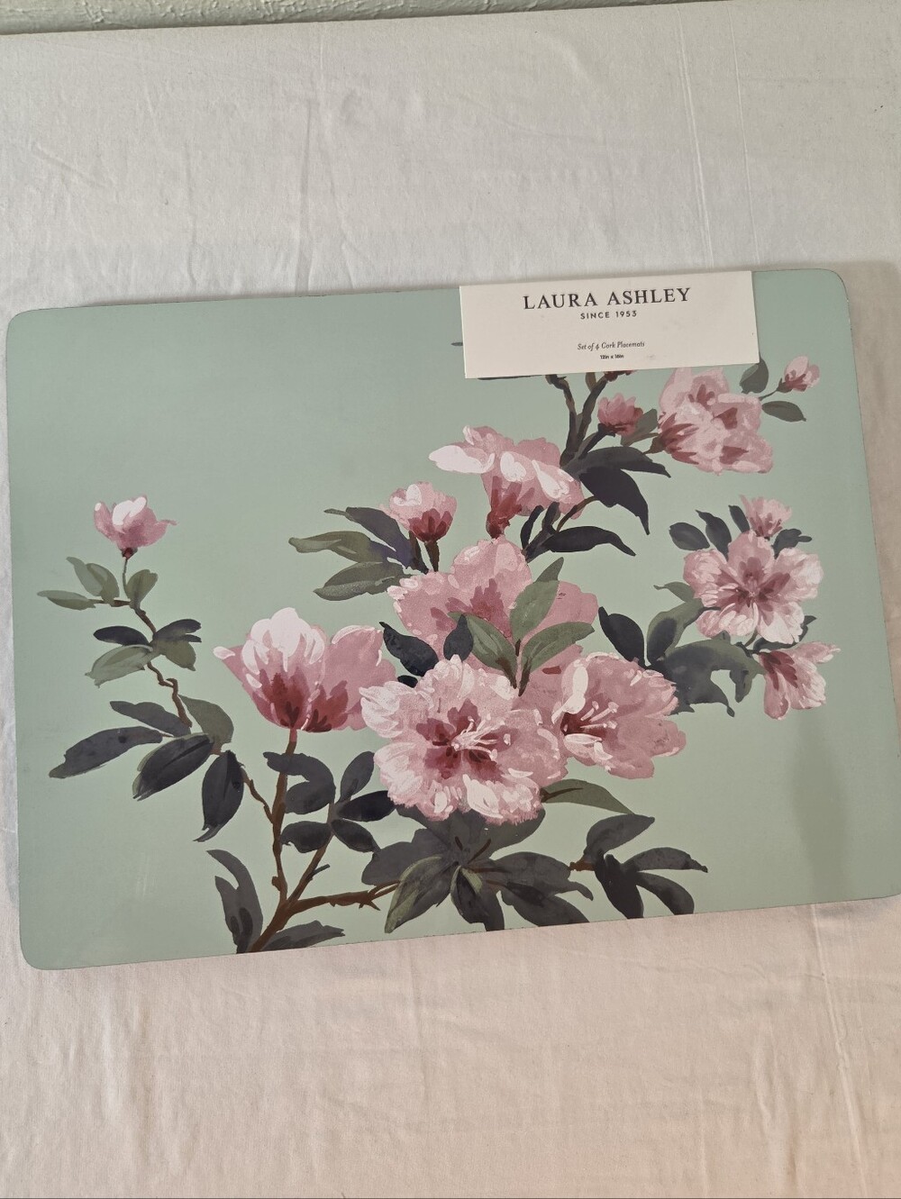 NWT Laura Ashley Pink Floral Placemat on Mint Set Of 4